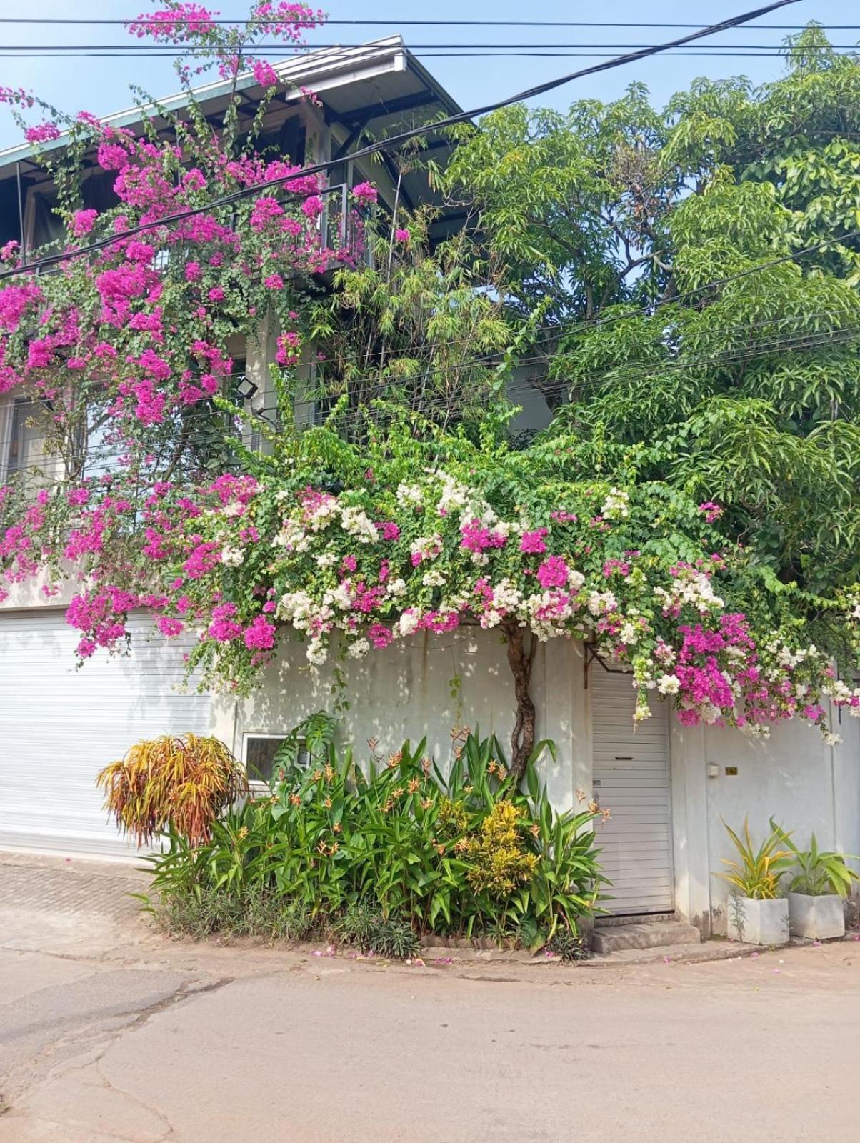 Kelaniya Heritage Exterior photo